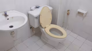 ¿Qué pasa si echas vinagre en el inodoro una vez por semana?