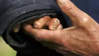 Yucatán es el segundo estado en la península con más casos Foto: Reuters