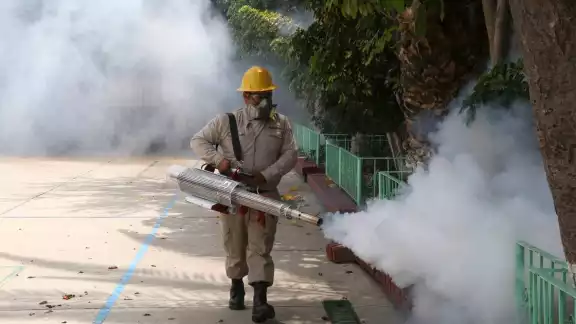 Las fuertes lluvias que han caído en Yucatán han provocado un aumento en los mosquitos Las fuertes lluvias que han caído en Yucatán han provocado un aumento en los mosquitos