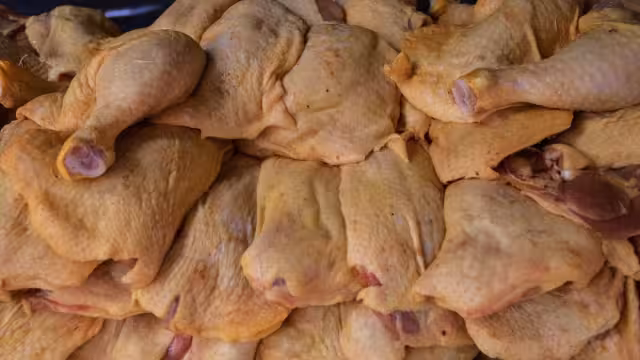 Huevo y pollo con normalidad ante alerta por influenza aviar