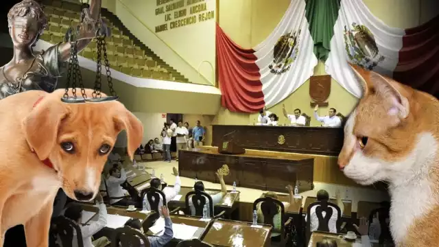 Van cuatro casos de personas que afrontan un juicio por este delito en el Estado; los primeros fueron en Peto y la colonia Canto en Mérida