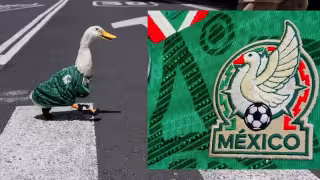 ¿Quién es Merlín? El pato viral del Mundial 2026 que se declaró americanista