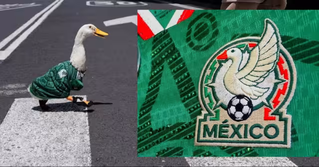 El pato más futbolero