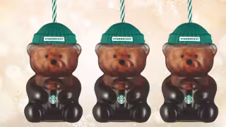 Vaso de oso de Starbucks: Precio y cuantos habrá por tienda