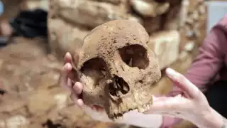 Los restos hallados eran de una mujer de 45 a 50 años