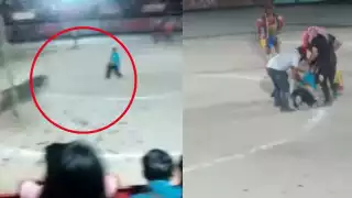 Muere hombre al ser embestido por un toro en Valladolid: VIDEO