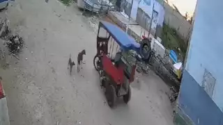 ¿Fantasmas en Celestún? Captan a un mototaxi moviéndose solo y se vuelve viral