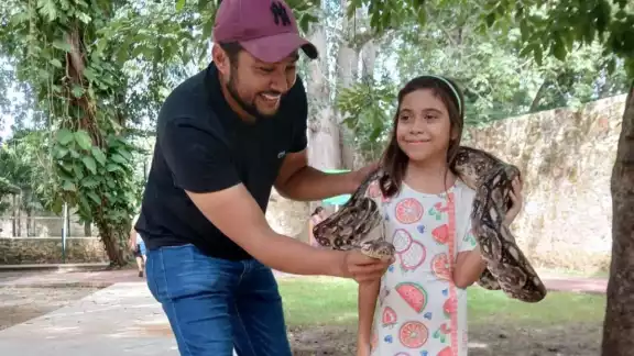 El parque zoológico La Reina, en Tizimín, tendrá nuevas atracciones en los próximos días, como una granja interactiva y una zona de contacto con reptiles El parque zoológico La Reina, en Tizimín, tendrá nuevas atracciones en los próximos días, como una granja interactiva y una zona de contacto con reptiles