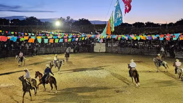Autoridades municipales prohíben eventos de rodeo que atenten contra la vida de las personas y animales