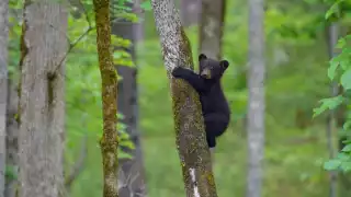 Se desconoce el proceso que llevarán a cabo en contra de las personas