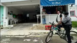 Autoridades investigan muerte de perros