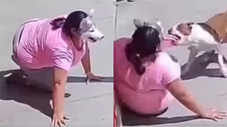 Joven therian es embestida por pitbull en la calle y queda grabado.