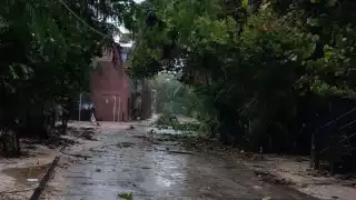 Estragos del Huracán Beryl al impactar Quintana Roo