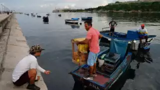 Éstos son los municipios de Yucatán donde se sentirá más fuerte el Huracán Ian
