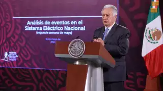 Manuel Bartlett Díaz, director de la Comisión Federal de Electricidad (CFE)