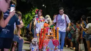 Pixán Peek Mérida 2025: “Lomitos” se apoderan del Parque La Plancha