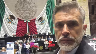 Sergio Mayer asegura que volverá a sus funciones legislativas.