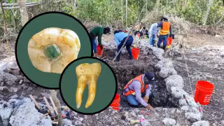 Un molar cambia la historia: la UADY participa en el hallazgo que revela una cirugía dental hace mil años
