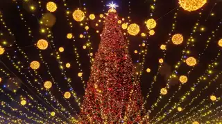 ¿Cuándo se debe de poner el árbol de Navidad 2025 en Yucatán?