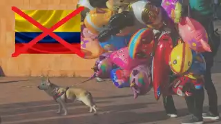 Atentados en Colombia dejan al menos 14 muertos y más de 40 heridos: ¿qué fue lo que pasó?