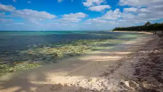 Bahía Solimán es un arenal alejado del ruido de la ciudad, idóneo para disfrutar de la tranquilidad y las bellezas naturales de la zona en Quintana Roo