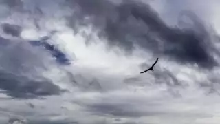 Se prevé que llueva fuerte en el sur del país por Agatha