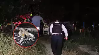 Encontraron un cuerpo calcinado boca abajo, causando gran susto