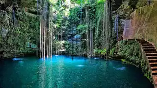 Ningún cenotes es igual a otro en Yucatán