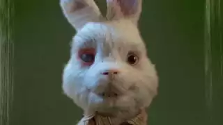 Pruebas de cosméticos en animales: Organismo llama contra el maltrato con emotivo video
