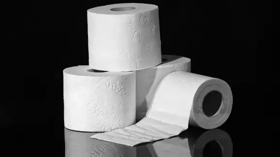 El papel de baño está por desaparecer