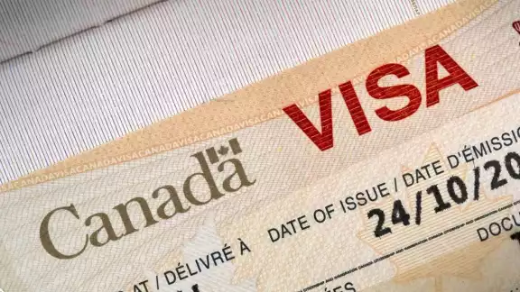 Gobierno de Canadá reimpone visas a mexicanos Gobierno de Canadá reimpone visas a mexicanos