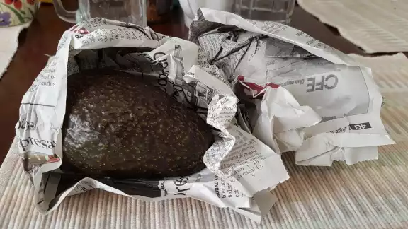 Los aguacates son las frutas que más son buscadas en los hogares mexicanos por su sabor Los aguacates son las frutas que más son buscadas en los hogares mexicanos por su sabor