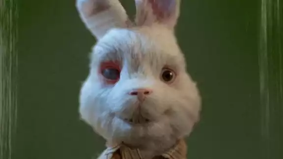 Pruebas de cosméticos en animales: Organismo llama contra el maltrato con emotivo video
