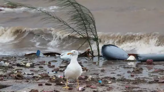 La zona costera fue la más afectada La zona costera fue la más afectada