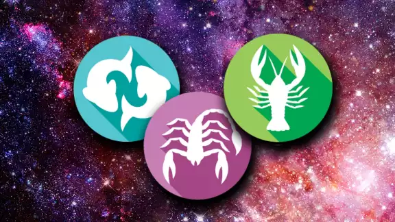 Los signos de agua tendrán esto en 2023