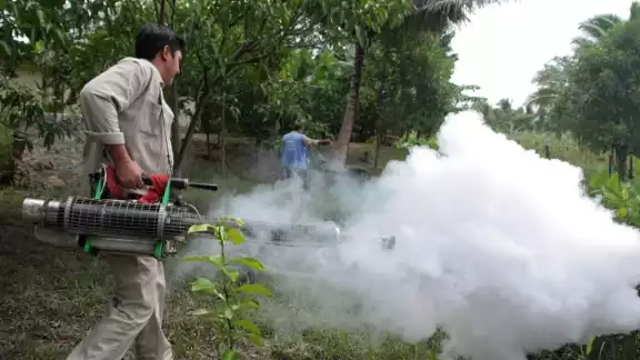 En el operativo de fumigación se contemplan tres municipios: Espita, Santa Elena y San Simón
