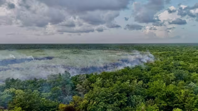 El incendio está siendo atendido por las autoridades