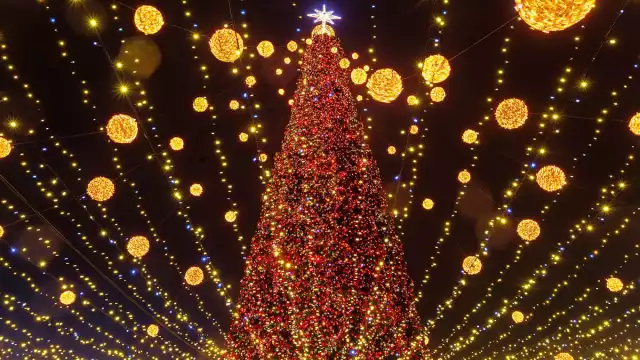 Yucatecos esperan la fecha para poner sus árboles de Navidad