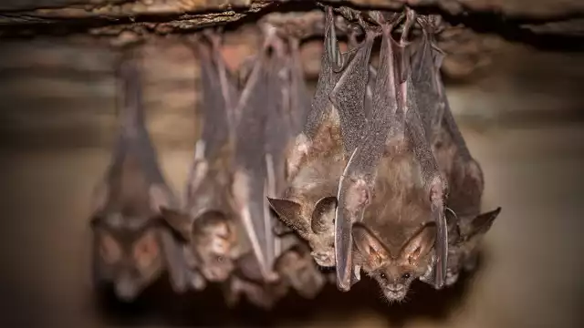 Los alumnos toman clases al aire libre