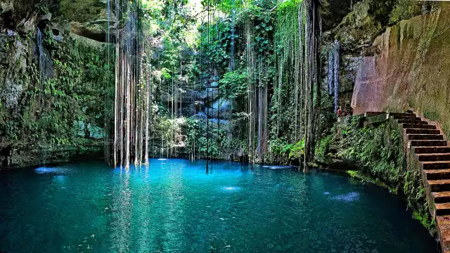 Ningún cenotes es igual a otro en Yucatán