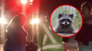 El motociclista fue atendido por paramédicos tras el accidente