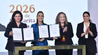 La iniciativa parte de una reforma al artículo 73 de la Constitución, aprobada previamente por el Congreso