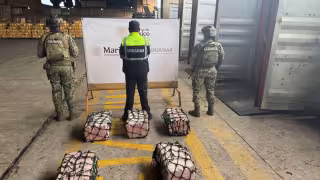 El Gabinete de Seguridad señaló que este decomiso representa una afectación económica estimada en más de 29 millones de pesos
