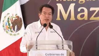 Mario Delgado Carrillo, secretario de Educación Pública