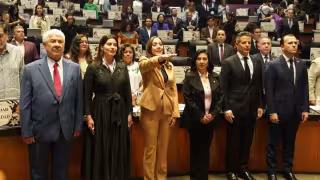 Tras la votación, el presidente de la Mesa Directiva, Higinio Martínez Miranda, tomó protesta de ley a la diplomática
