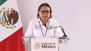 Emilia Esther Calleja Alor, directora general de la Comisión Federal de Electricidad (CFE)