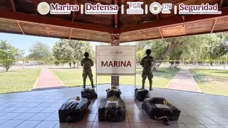 Las autoridades destacaron que este decomiso evitó la posible distribución de cerca de 530 mil dosis de droga