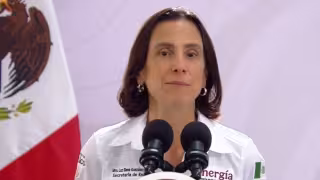 Luz Elena González Escobar, secretaria de Energía