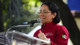 La Fiscal en Netflix: historia real de Sayuri Herrera y casos de feminicidio en CDMX