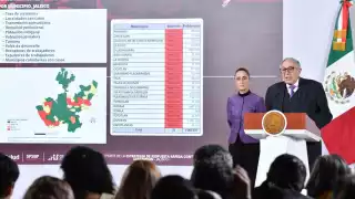 David Kershenobich, secretario de Salud